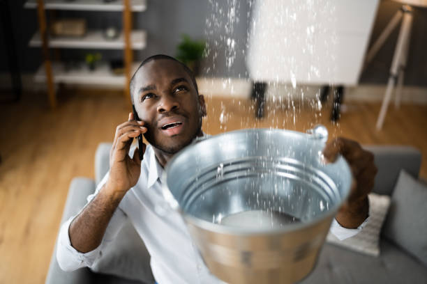 Best Water damage mitigation services  in Belzoni, MS