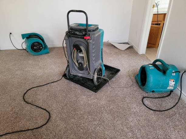 Best Commercial water damage restoration  in Belzoni, MS
