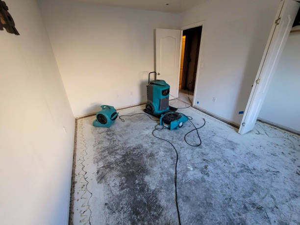 Reliable Belzoni, MS Water damage restoration Solutions