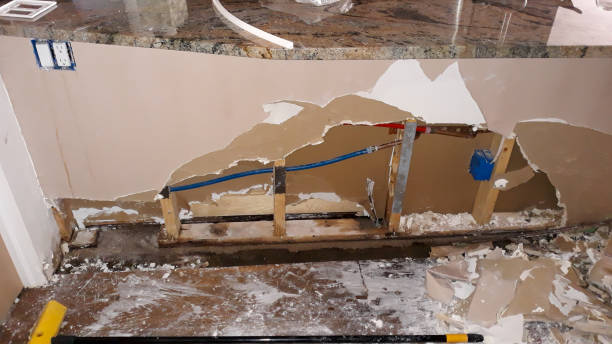 Best Ceiling water damage repair  in Belzoni, MS