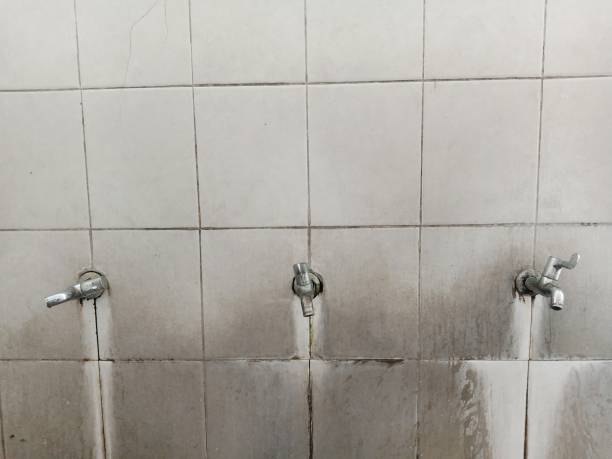 Best Fire Damage Restoration  in Belzoni, MS
