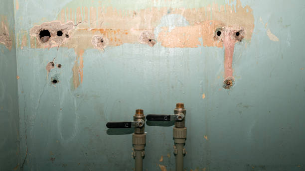Best Sewage cleanup and water damage restoration  in Belzoni, MS