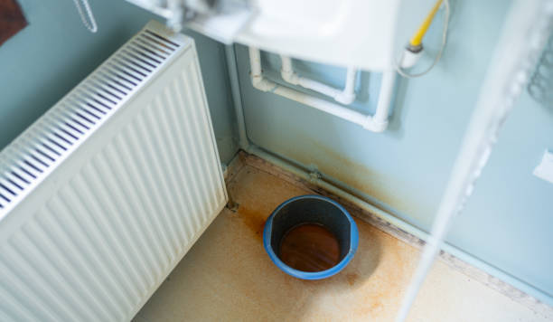 Best Water damage restoration experts  in Belzoni, MS