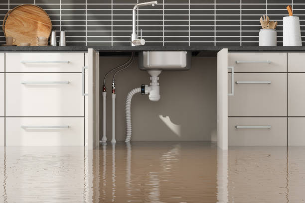 Best Flood restoration services  in Belzoni, MS