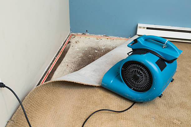 Best Water damage restoration near me  in Belzoni, MS